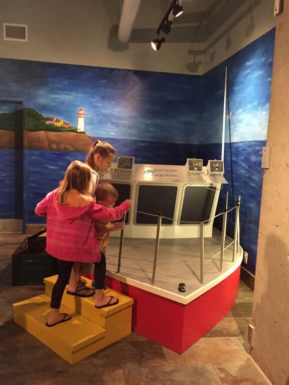 fundy-discovery-aquarium-in-new-brunswick-interactive-family-fun-for-all